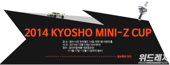 2014 kyosho mini-z cup.jpg